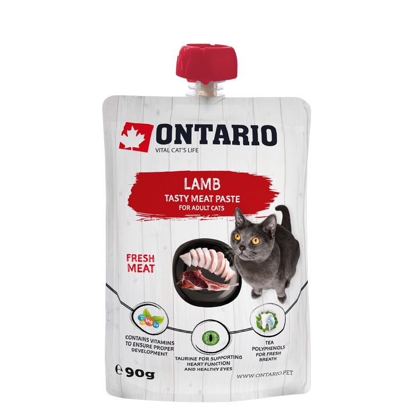 Pasta Ontario jaha 90g