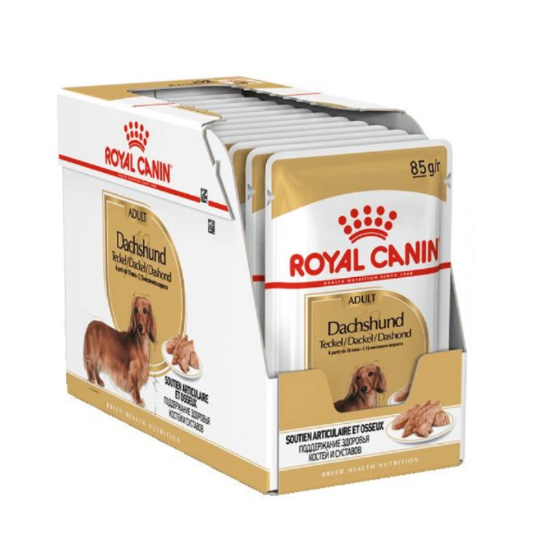 Royal Canin kapsika Dachshund multipack 12x85g